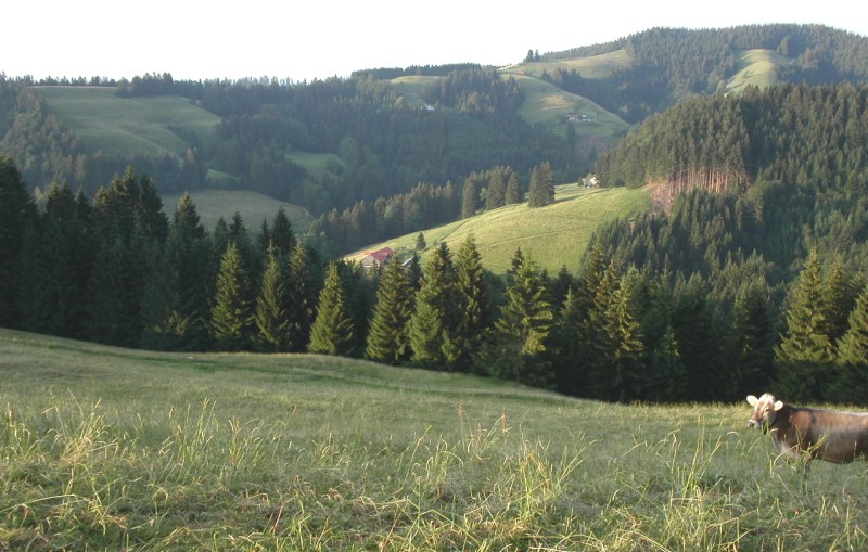 https://www.kreuzthal.de/wp-content/uploads/2017/03/07_kreuzthal_landschaft_zum_wirtsberg.jpg