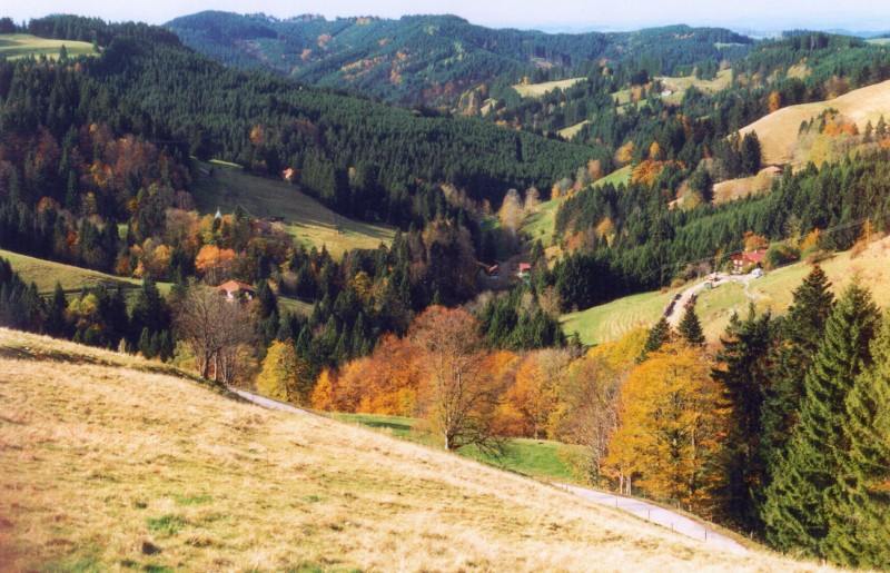 https://www.kreuzthal.de/wp-content/uploads/2017/03/11_kreuzthal_landschaft_herbst.jpg