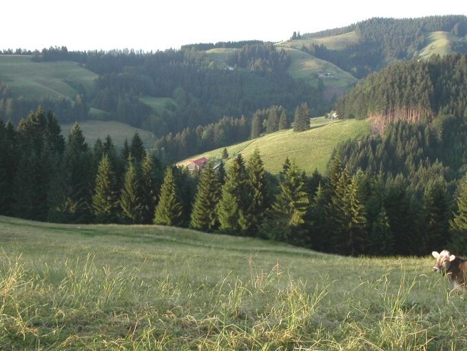 Blick vom Gohresberg zum Wirtsberg